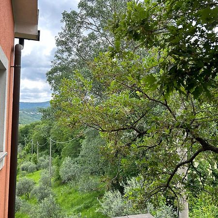 Ai 2 Olmi - Monolocali Nel Verde Múggia Buitenkant foto