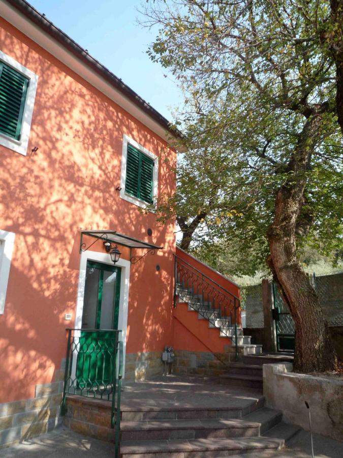 Ai 2 Olmi - Monolocali Nel Verde Múggia Buitenkant foto