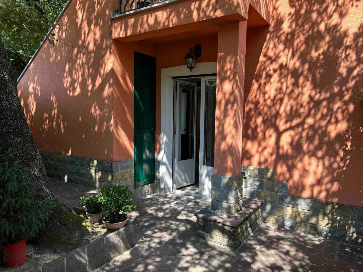 Ai 2 Olmi - Monolocali Nel Verde Múggia Buitenkant foto
