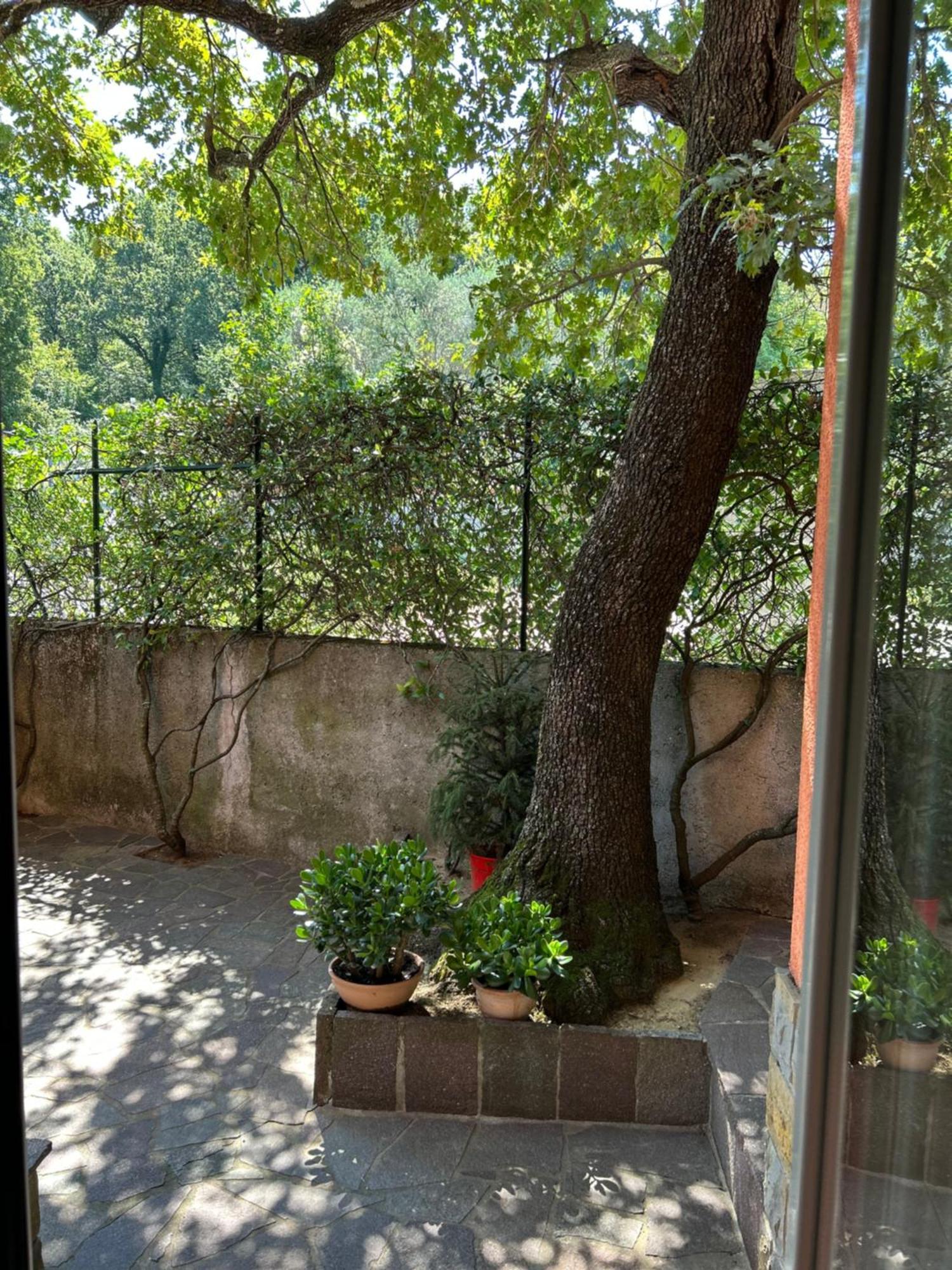 Ai 2 Olmi - Monolocali Nel Verde Múggia Buitenkant foto