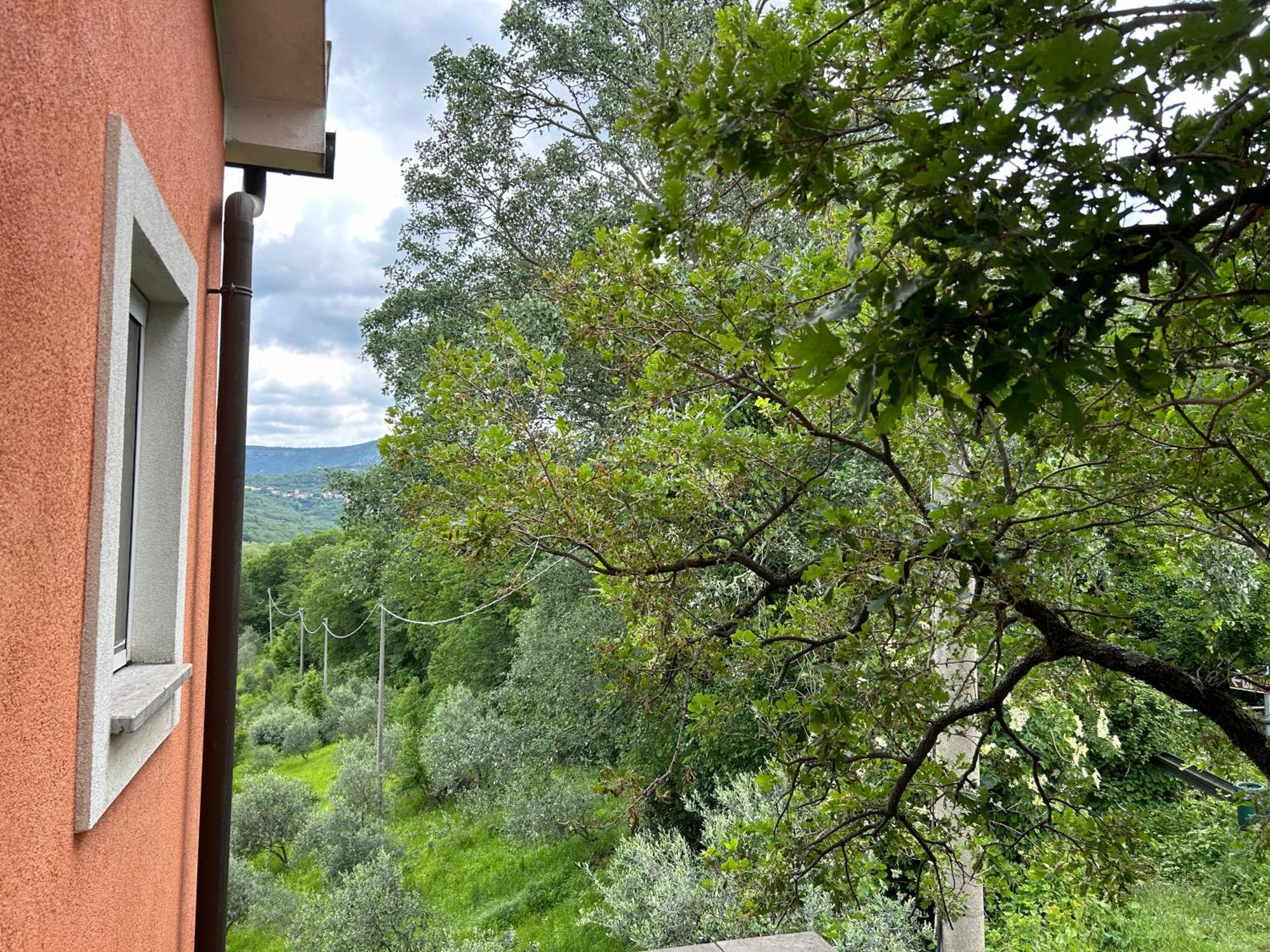 Ai 2 Olmi - Monolocali Nel Verde Múggia Buitenkant foto